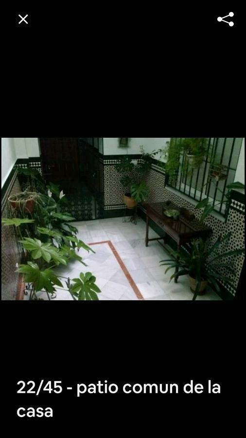 Oasi Macarena Apartment Seville Exterior photo