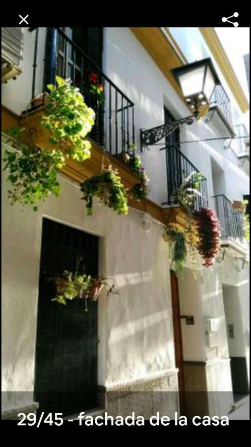 Oasi Macarena Apartment Seville Exterior photo